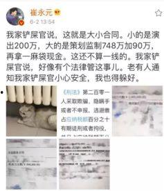 最新爆料偷税漏税案例,最新偷税漏税案例引发行业地震  第2张