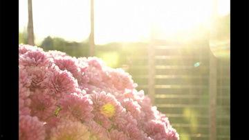 半夜爆料的视频素材,神秘视频曝光，真相令人震惊！